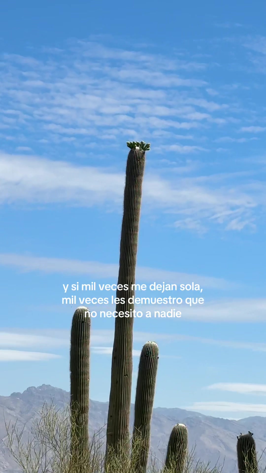 @Caro Morett