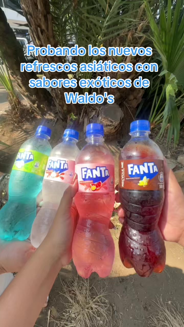 @Laguiadeltragon