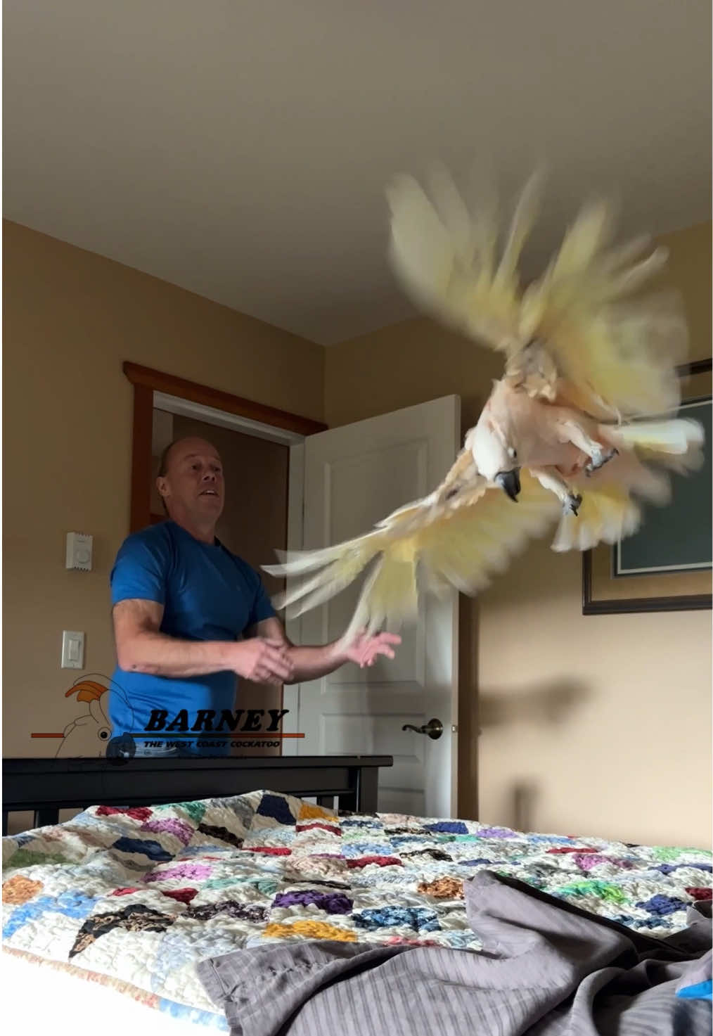 @Barney the West Coast Cockatoo