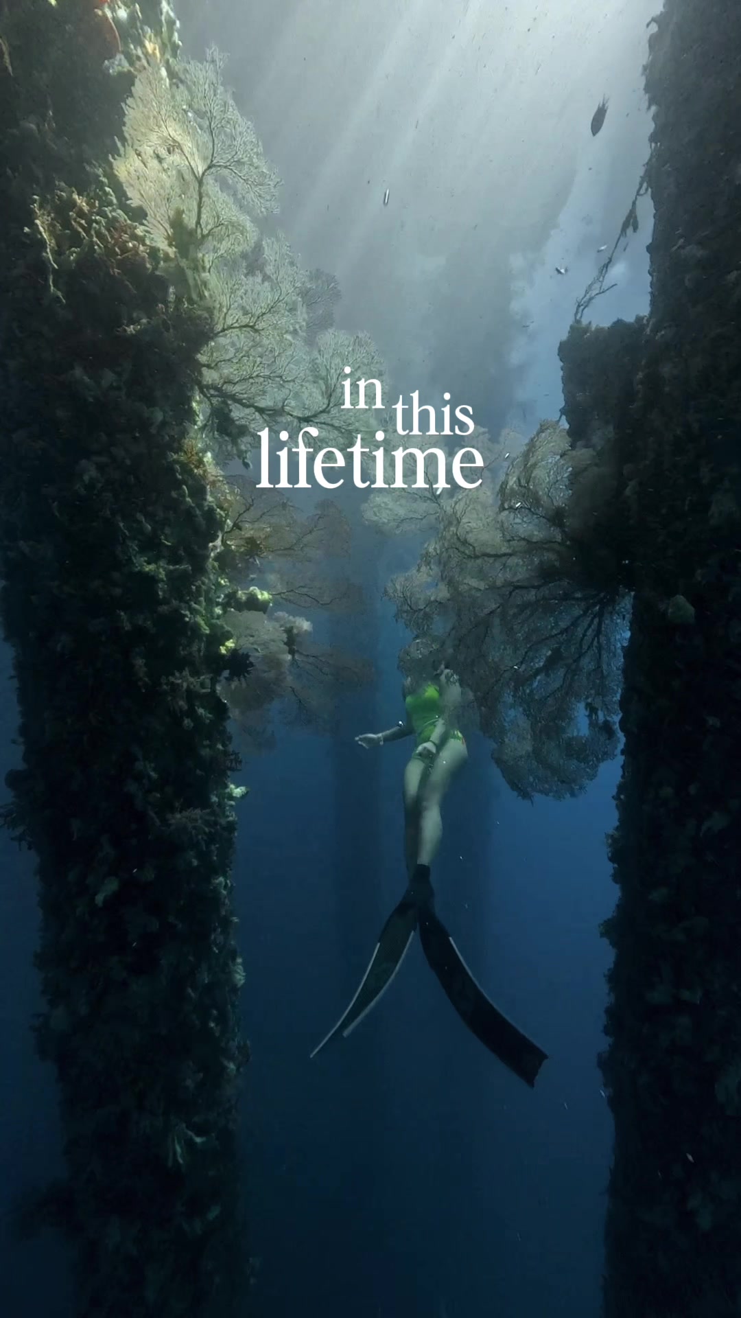@Yuki | Diving & Traveling