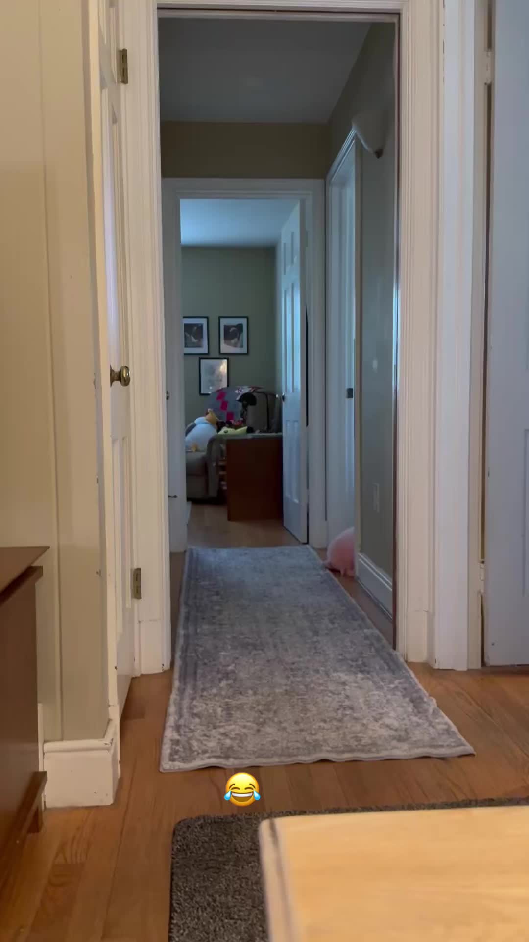 @lifewithduke2025