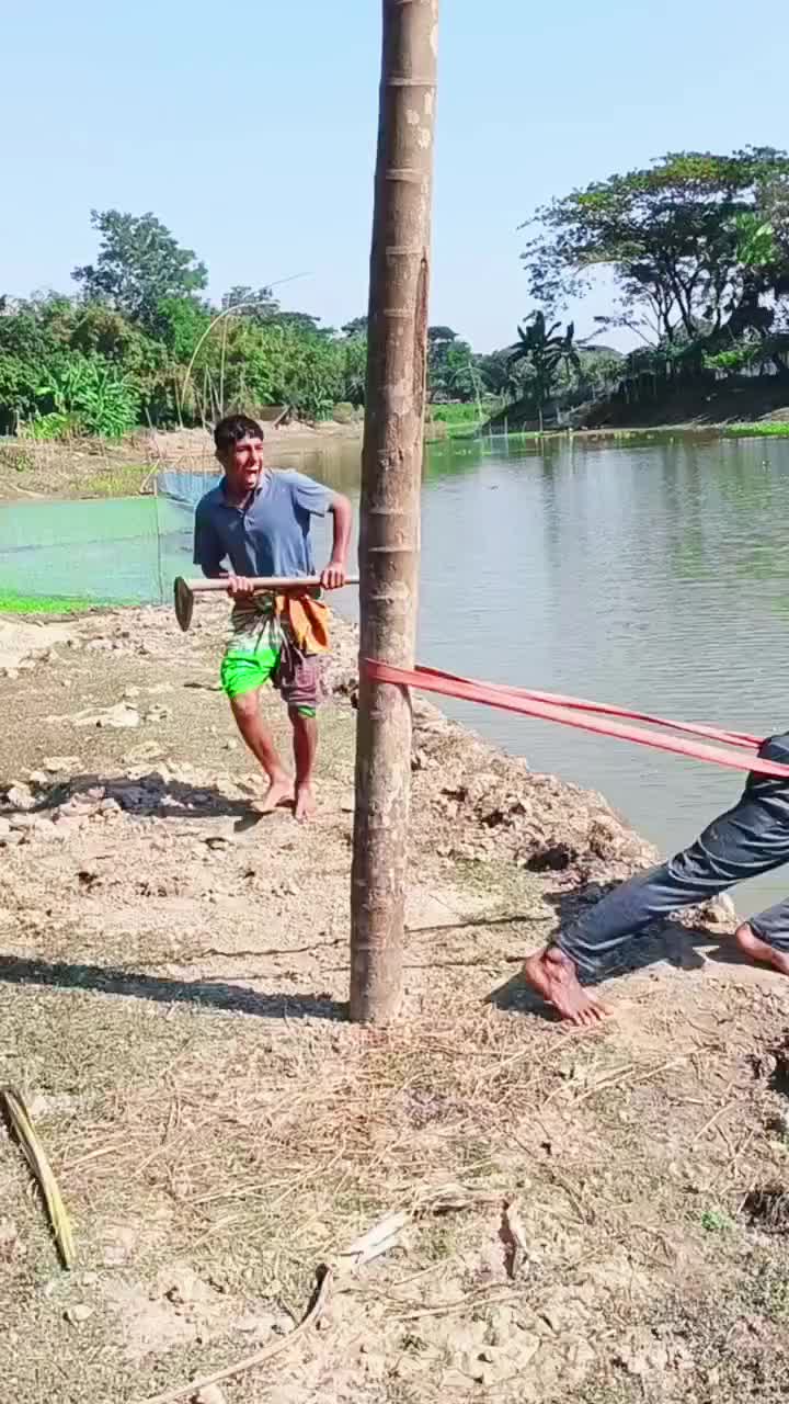 @tetroi02