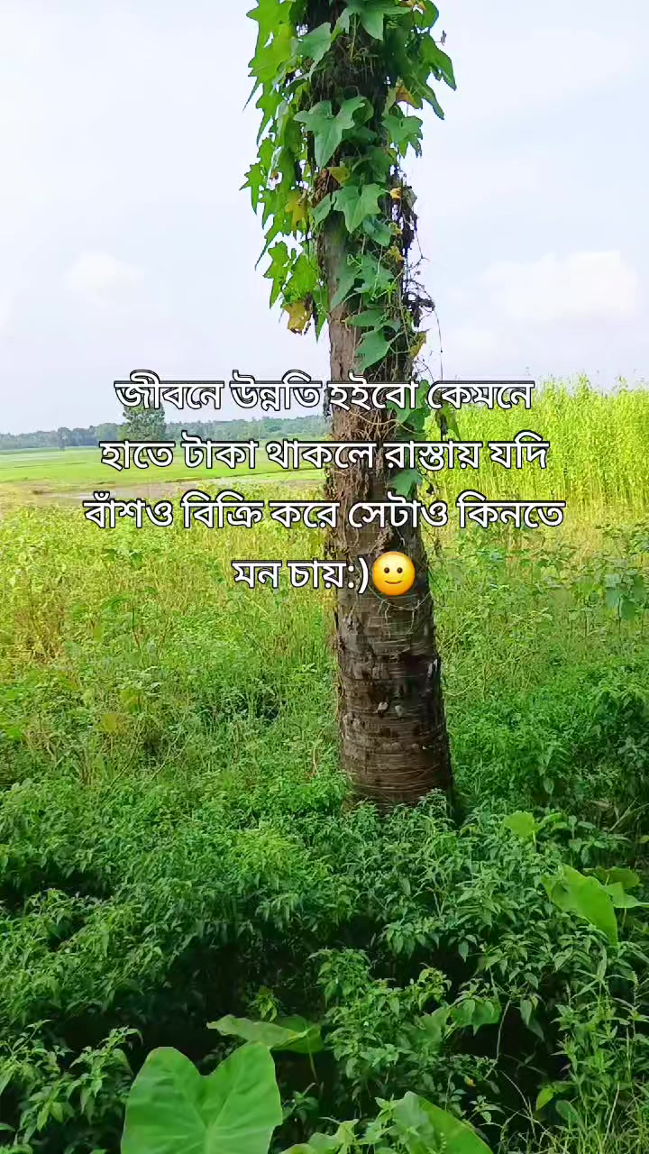 @❤️❤️Munjur+Sumi❤️❤️