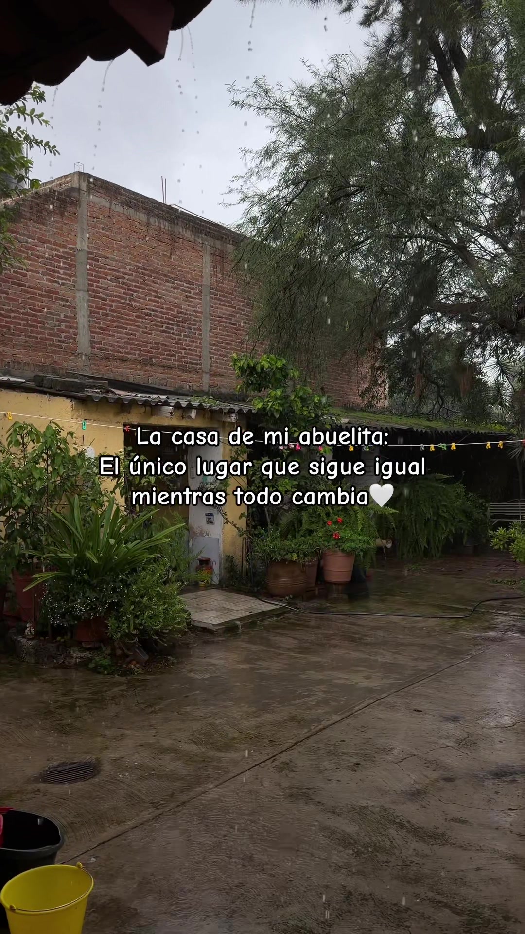 @Cynthia V.