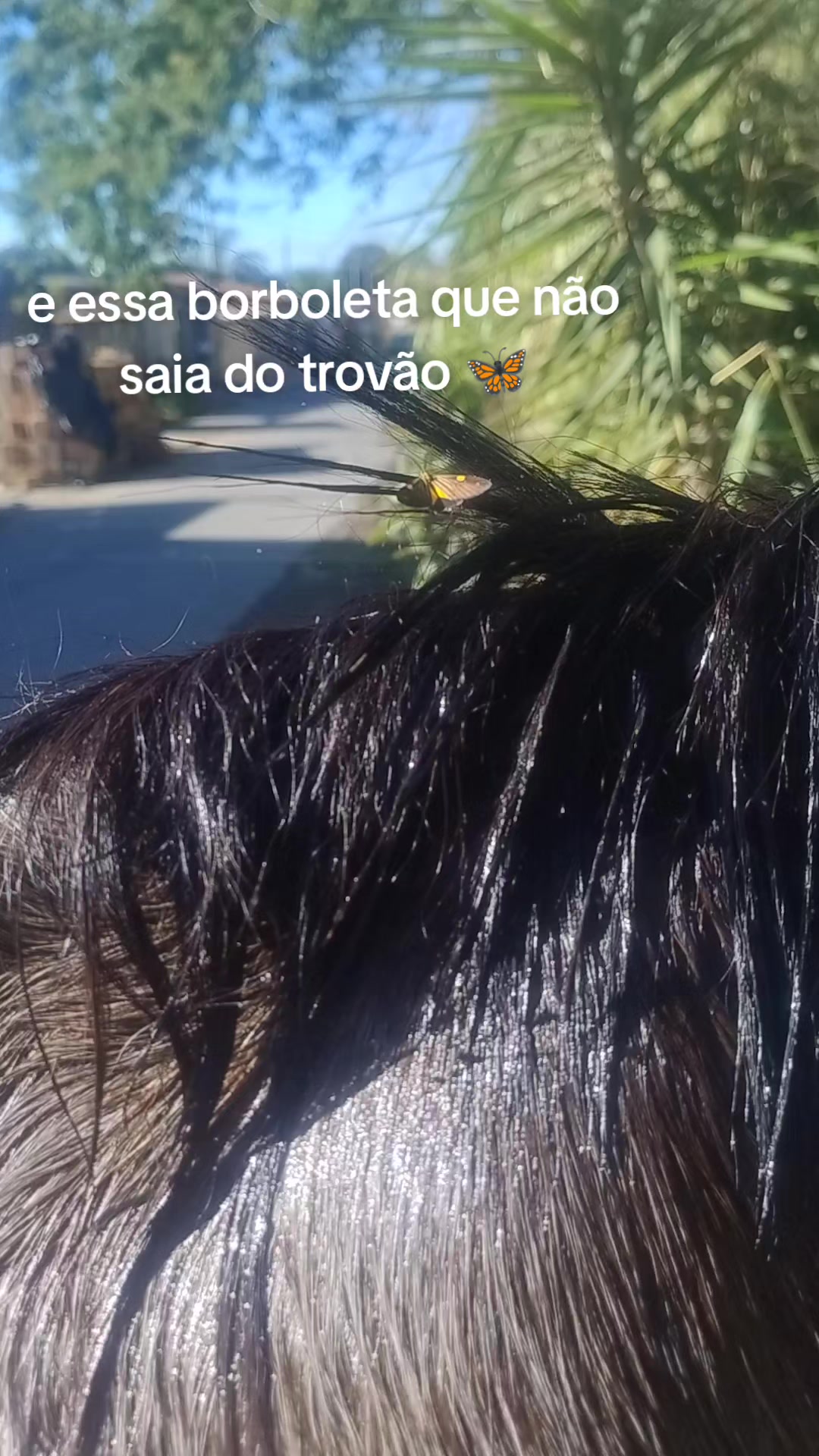 @KRN__