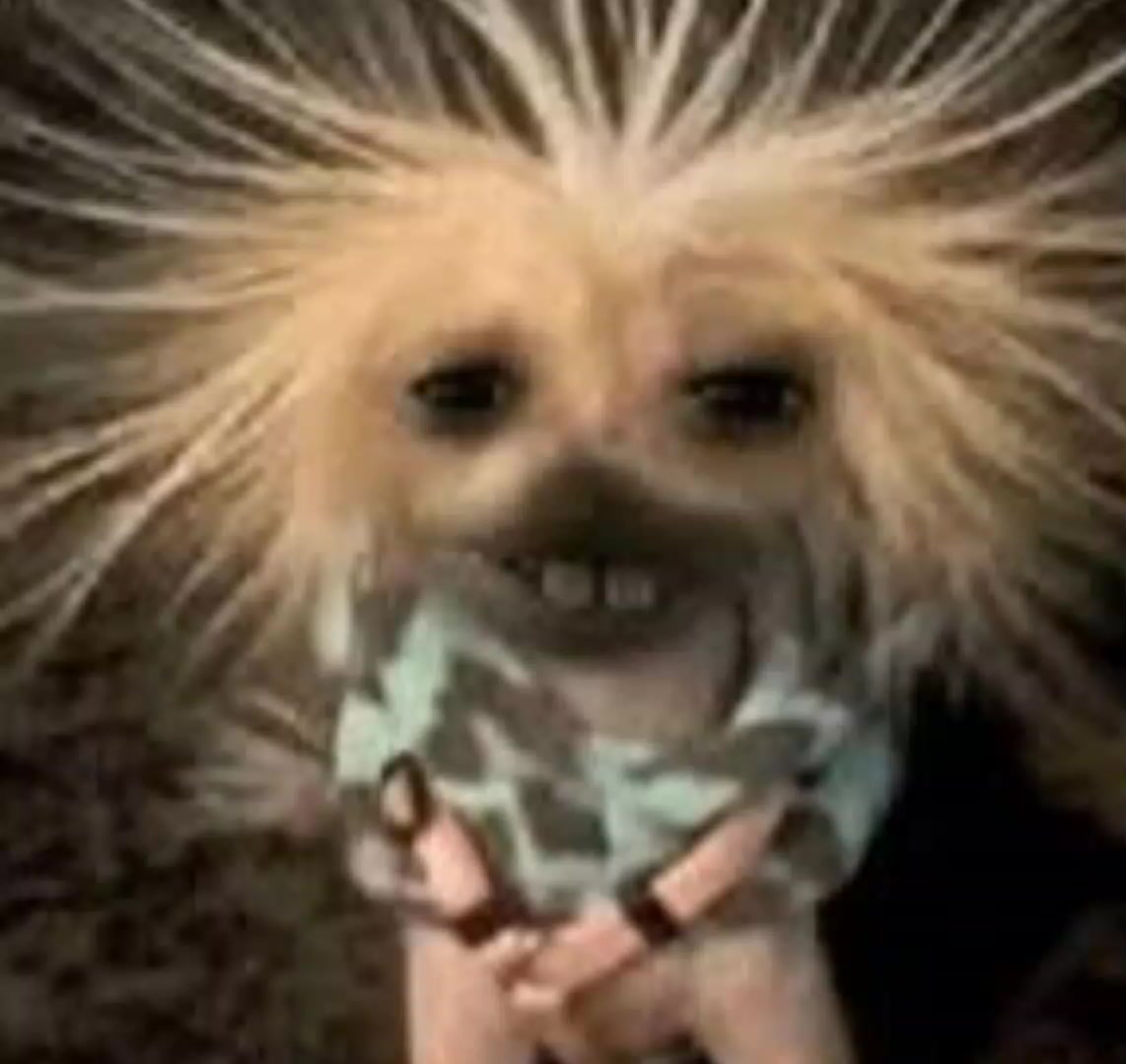 @▶; ᴀɴᴅʀᴏᴀʀᴇɴ