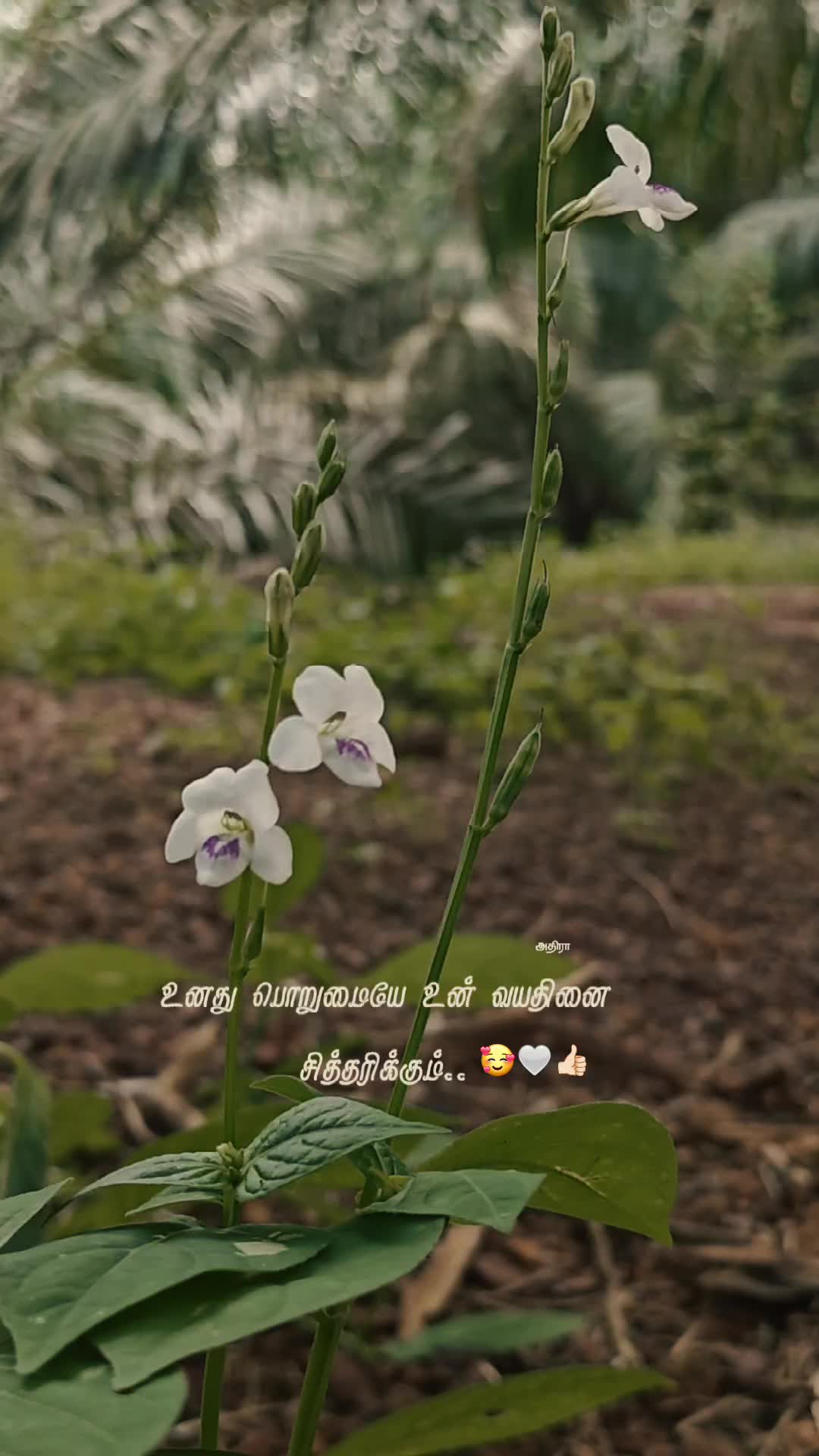 @😎Arupadayappa 😎