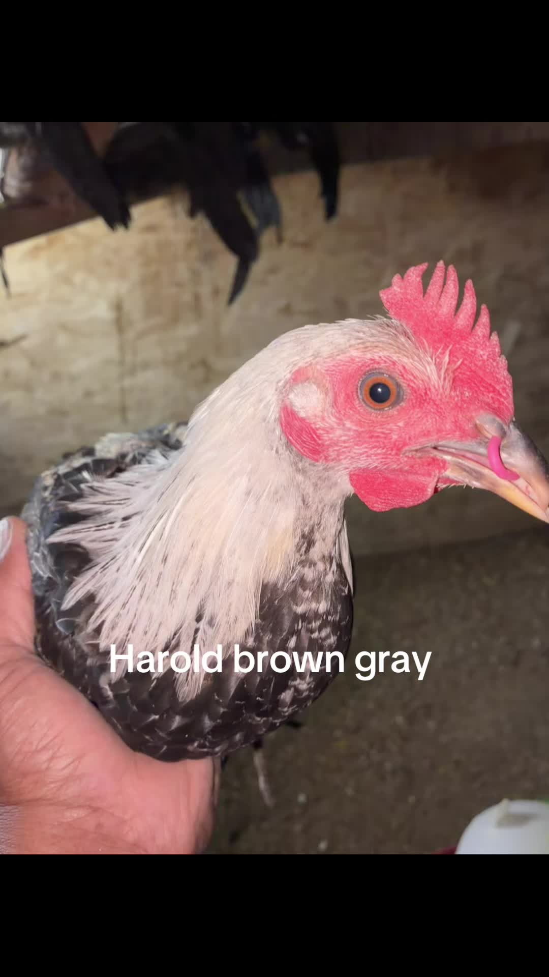 @A.MENDOZA.FARM.USA 74HWY