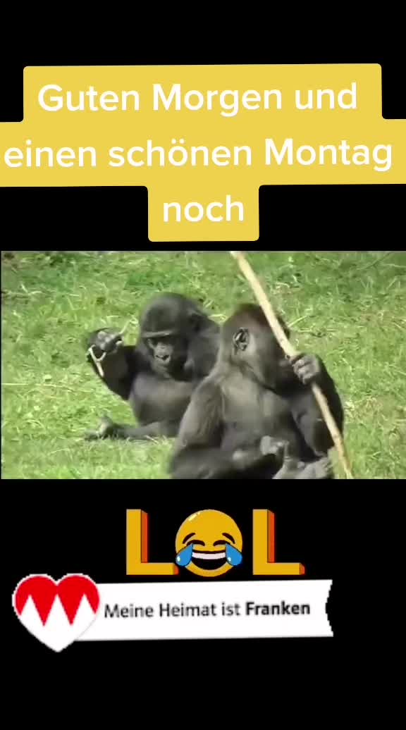 @🐗Fr&auml;nkischer-Rampen- Eber🐗