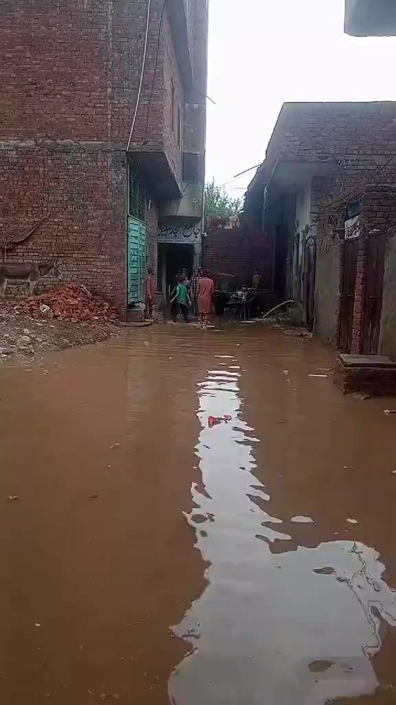 @saifkamboh120