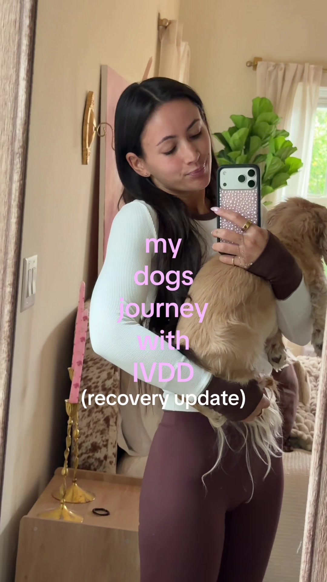 @zoe ferguson ✮⋆˙