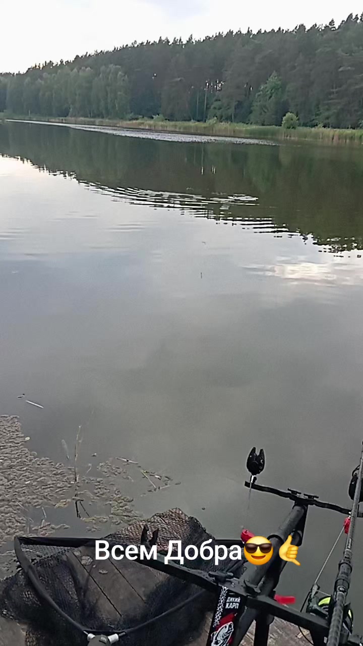 @Дикий карп рулит💪😎💪