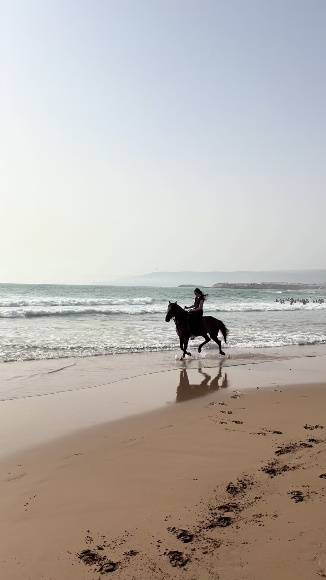 @Cheval_agadir
