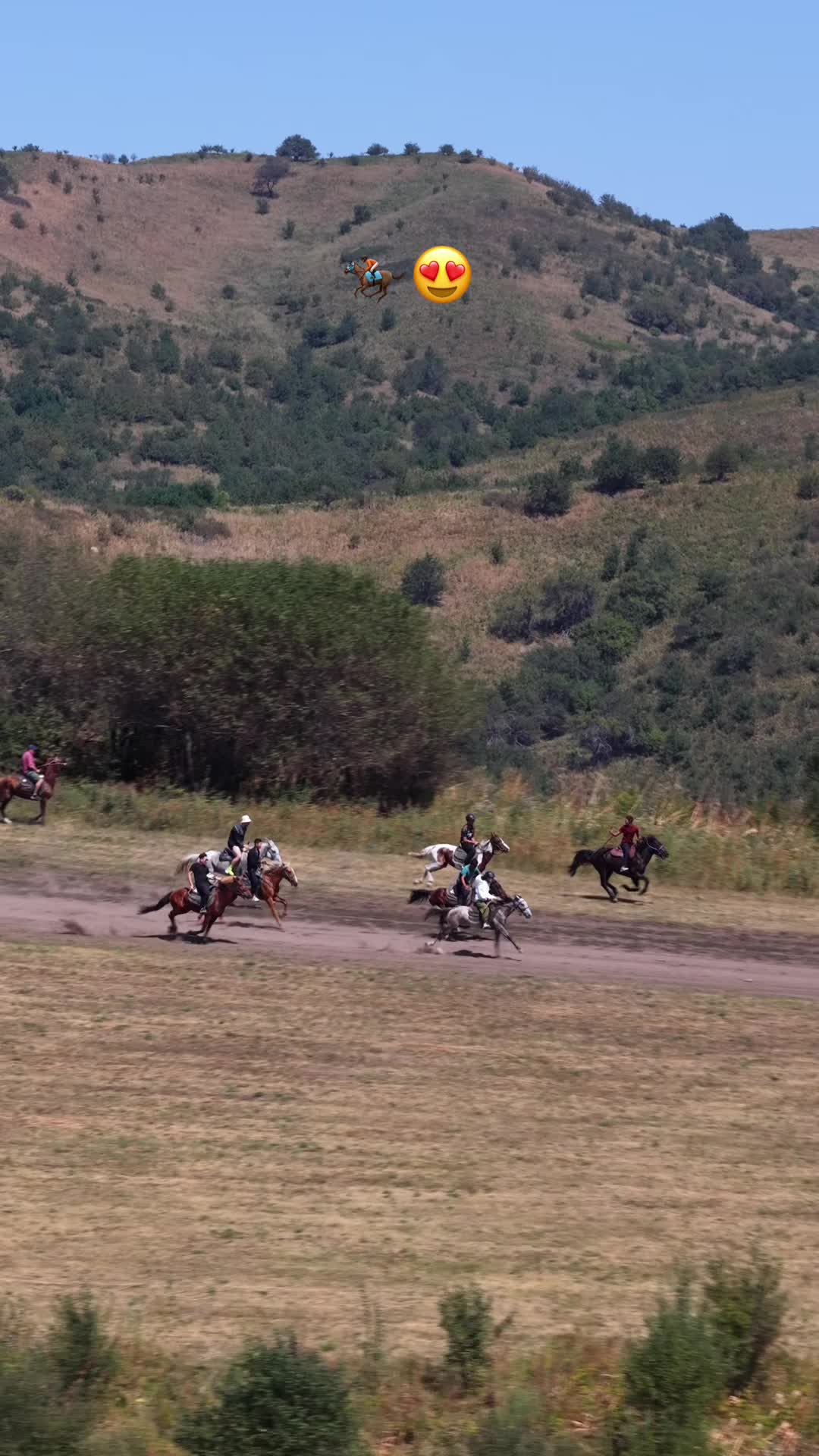 @tulpar_horses