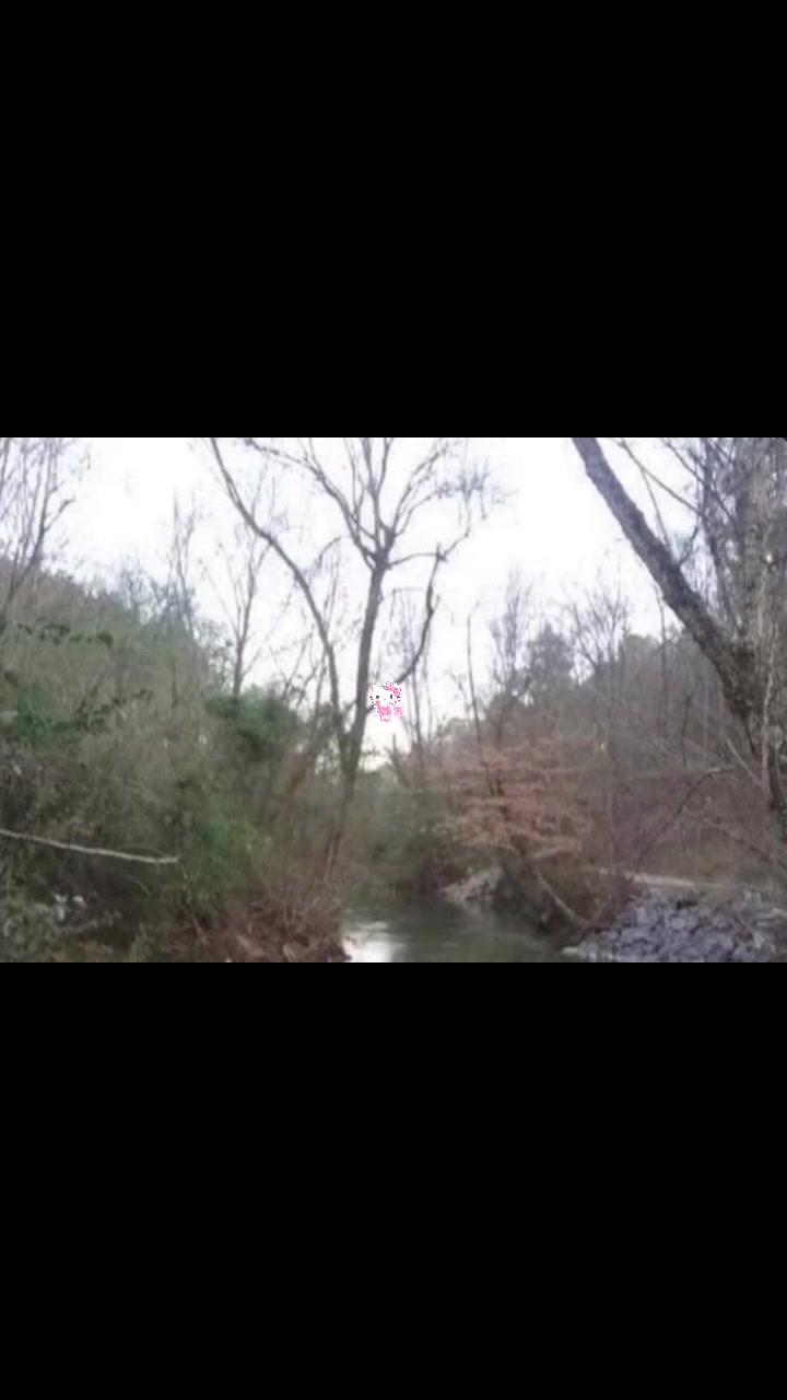 @hellokittyedits444