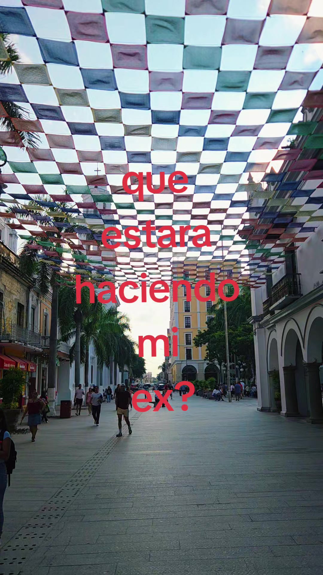 @felsito
