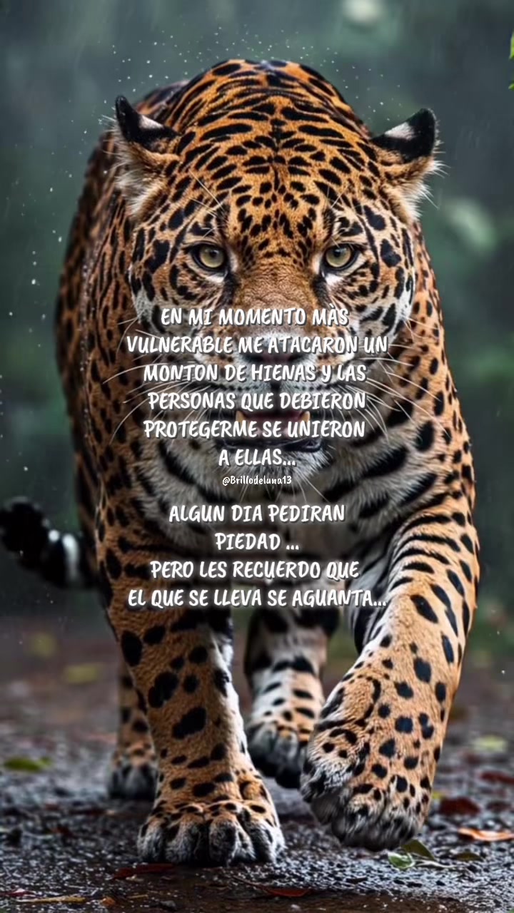 @🌙✨🦋Brillo de luna🦋🌙💫