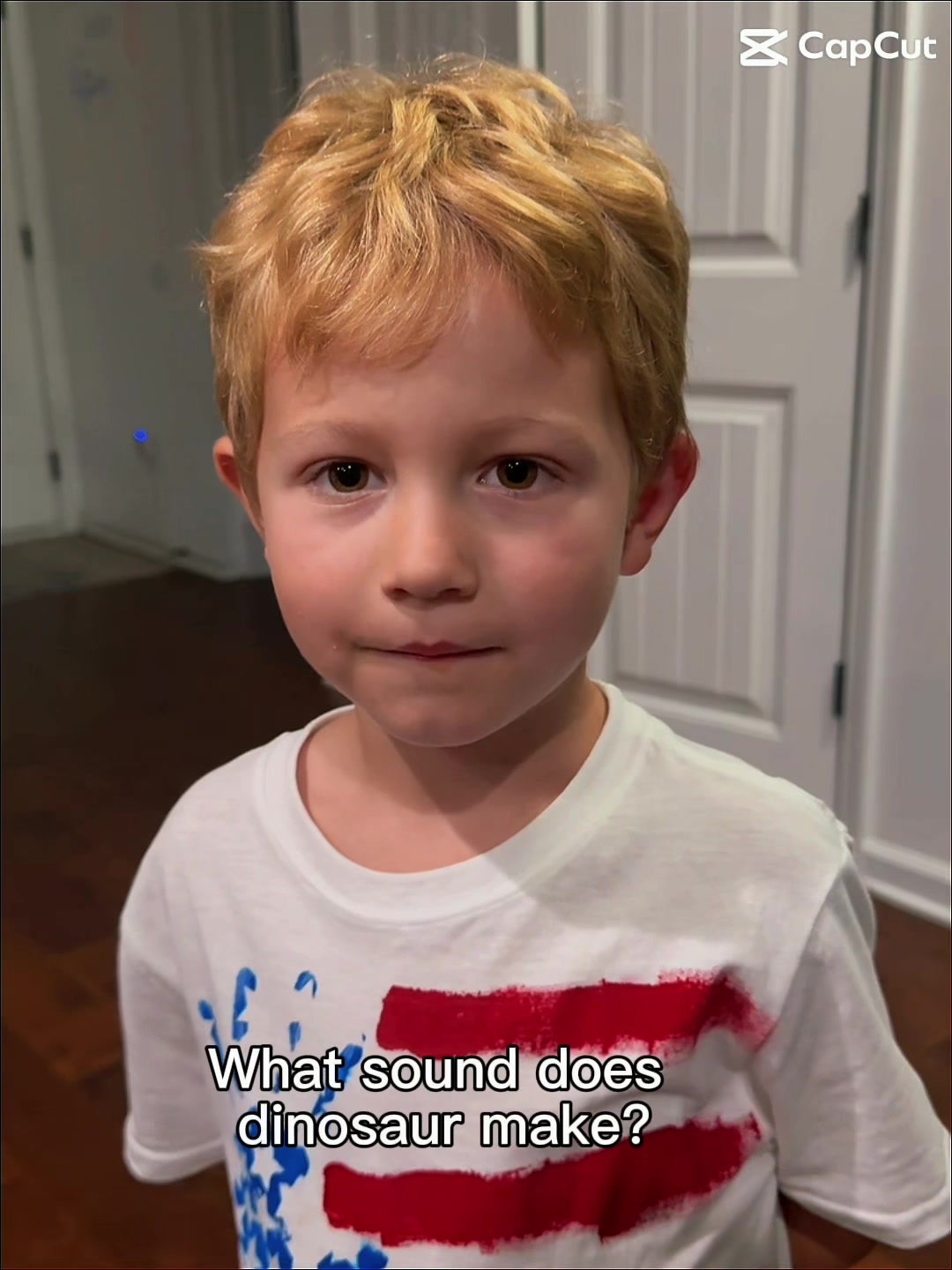 @camdyn borycki
