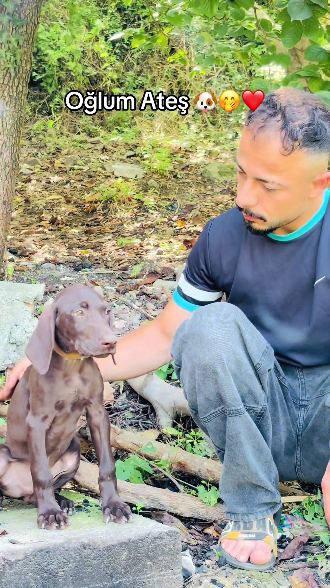 @Emirin Hayalhanesi ⛰️🐶🦅🏍️