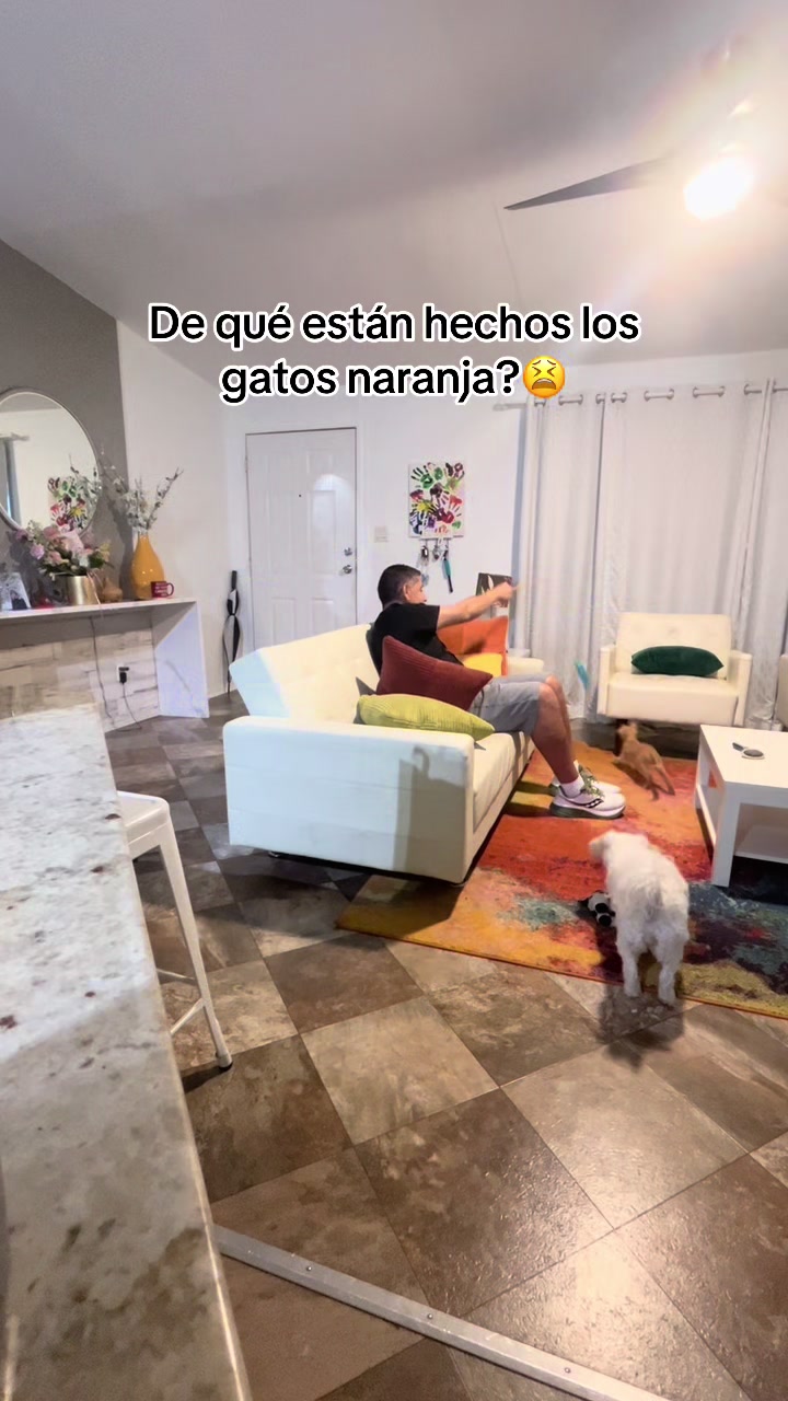@AZUL🐶🥰
