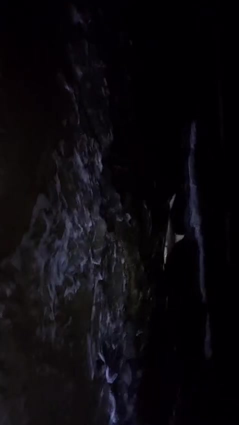 @عبد ابو خضير