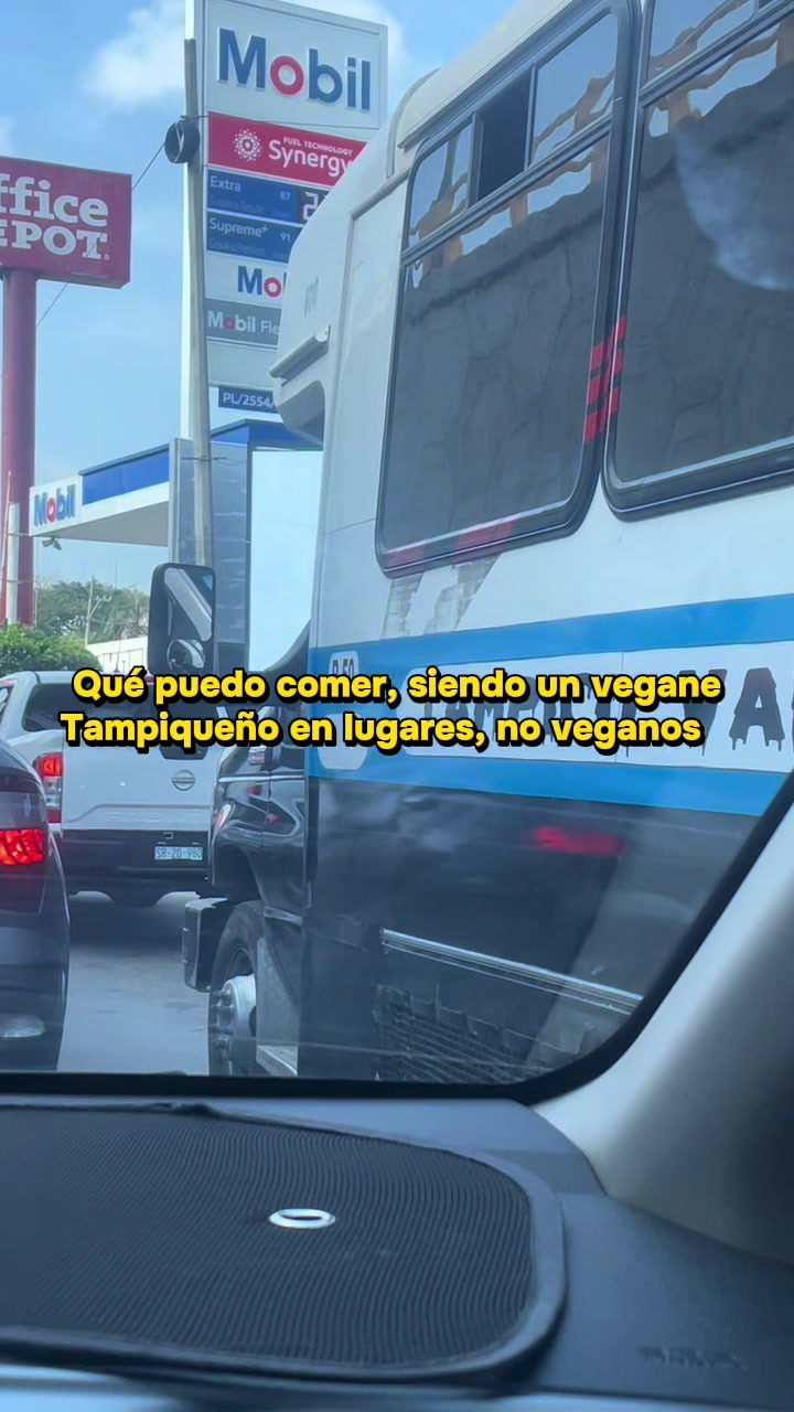 @labrujacomeplantas