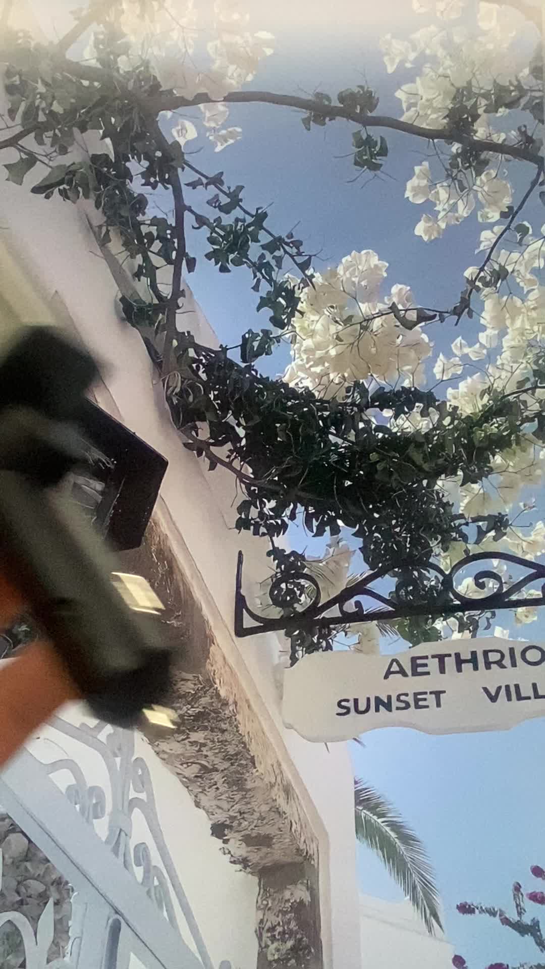 @user6619402160662