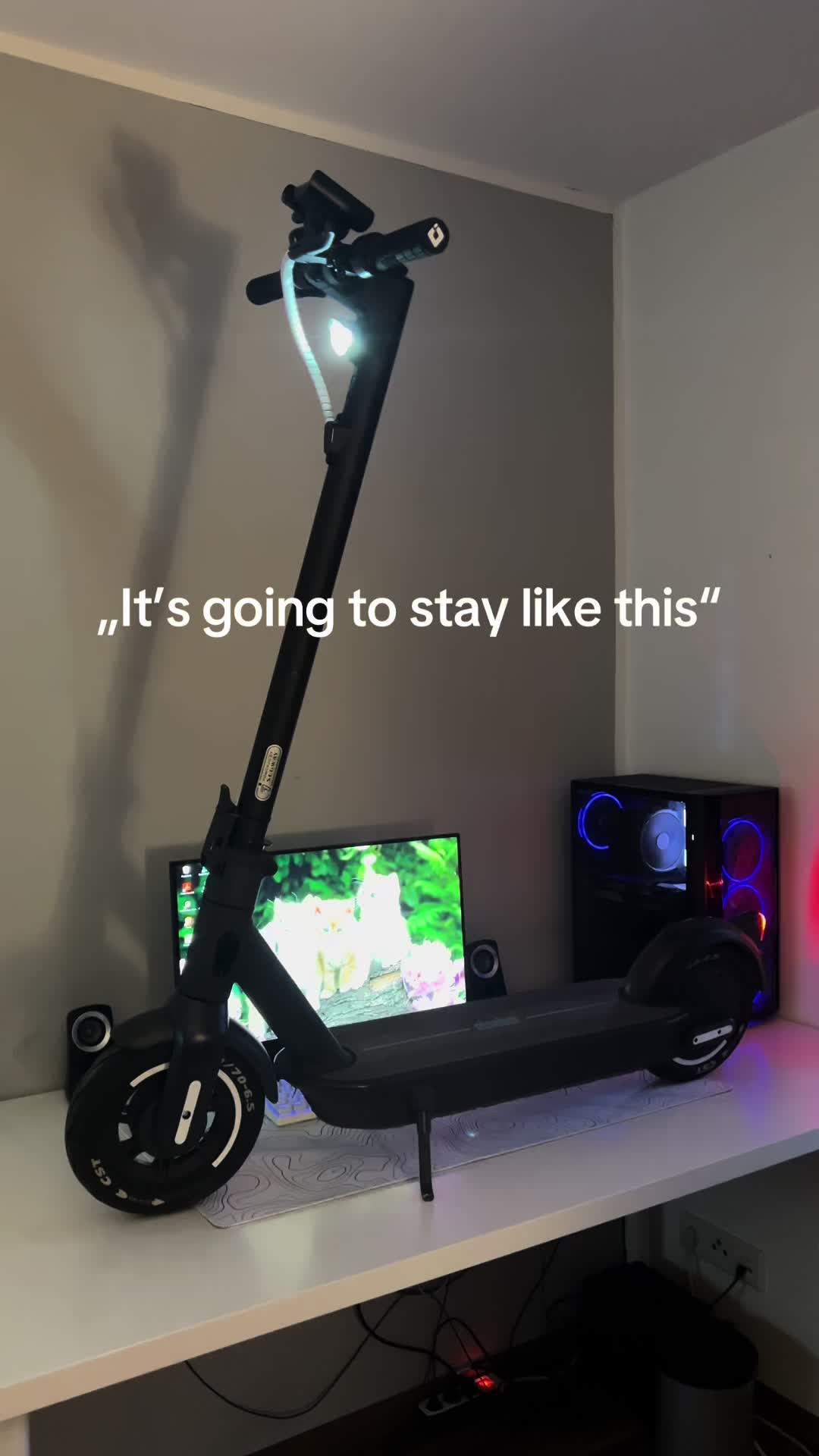 @Dr.HodenKobold