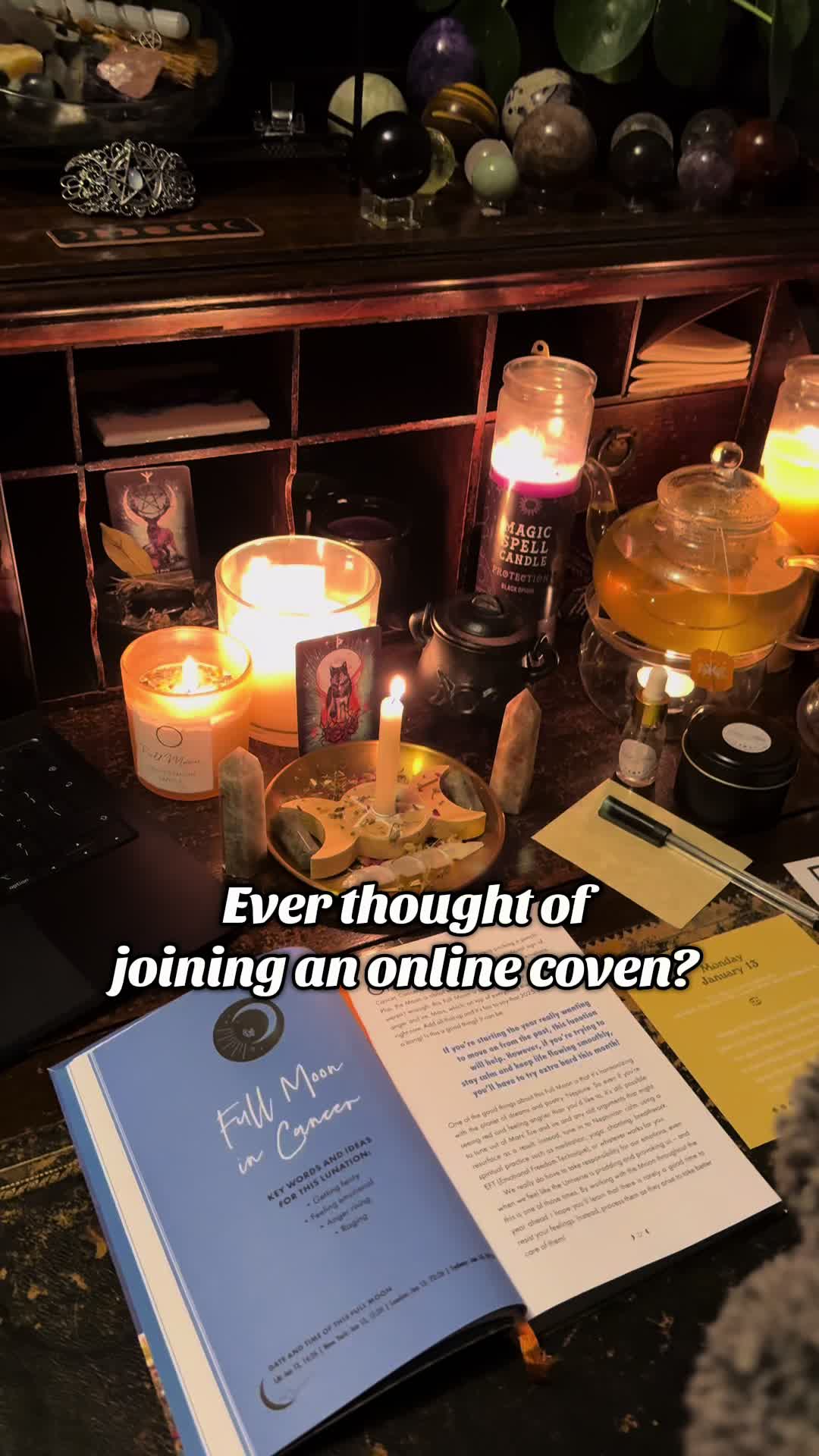 @Lunar Coven Cove
