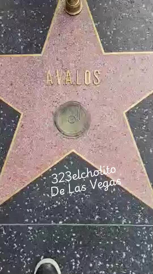 @323elcholito