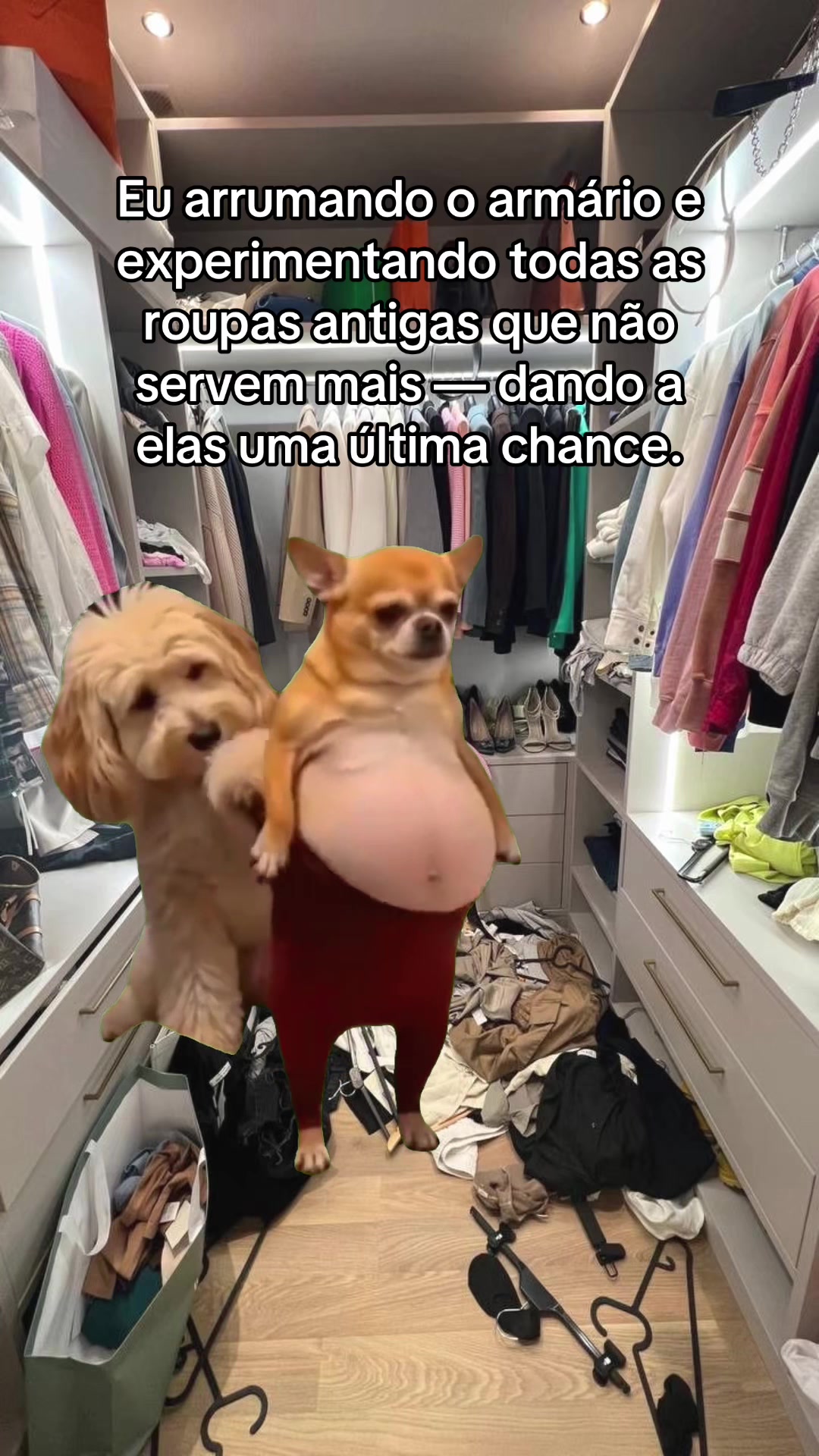 @tababadeira