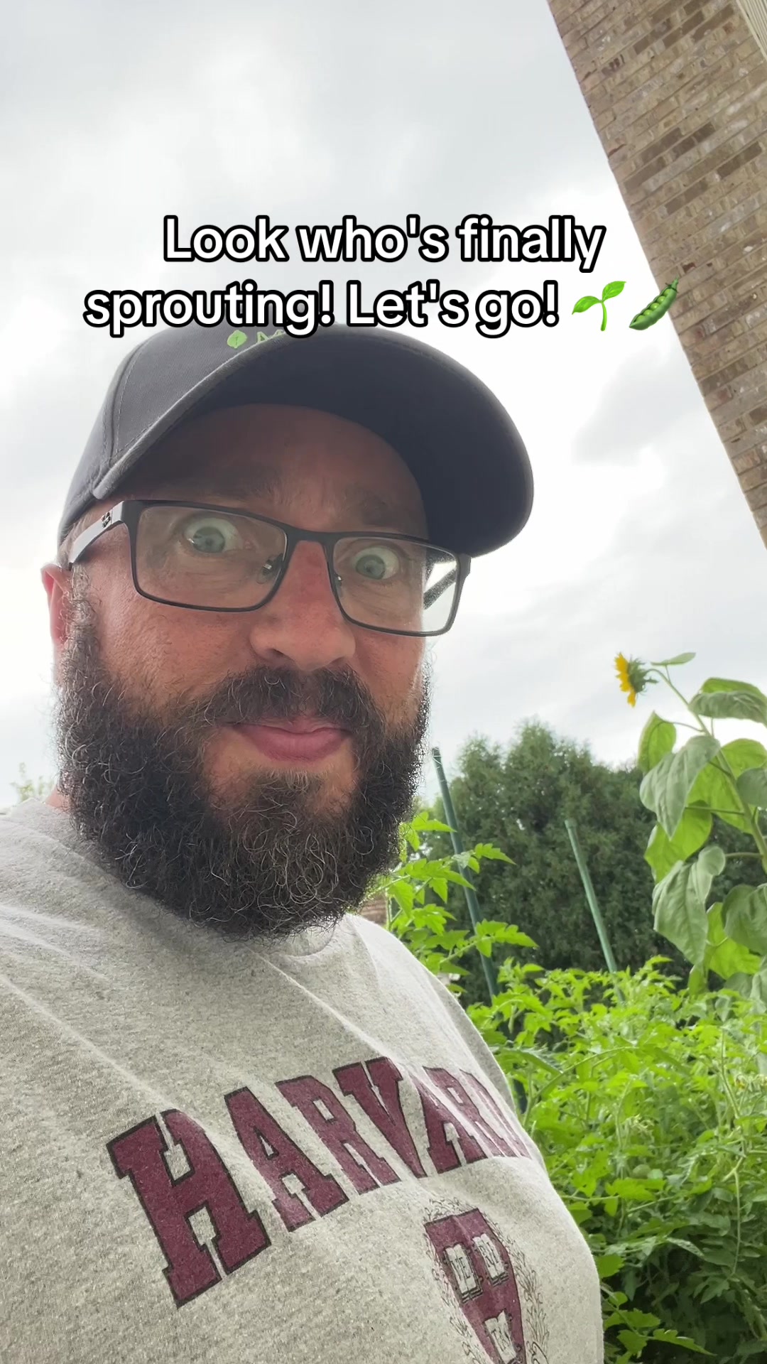 @TheUnconventionalGardener