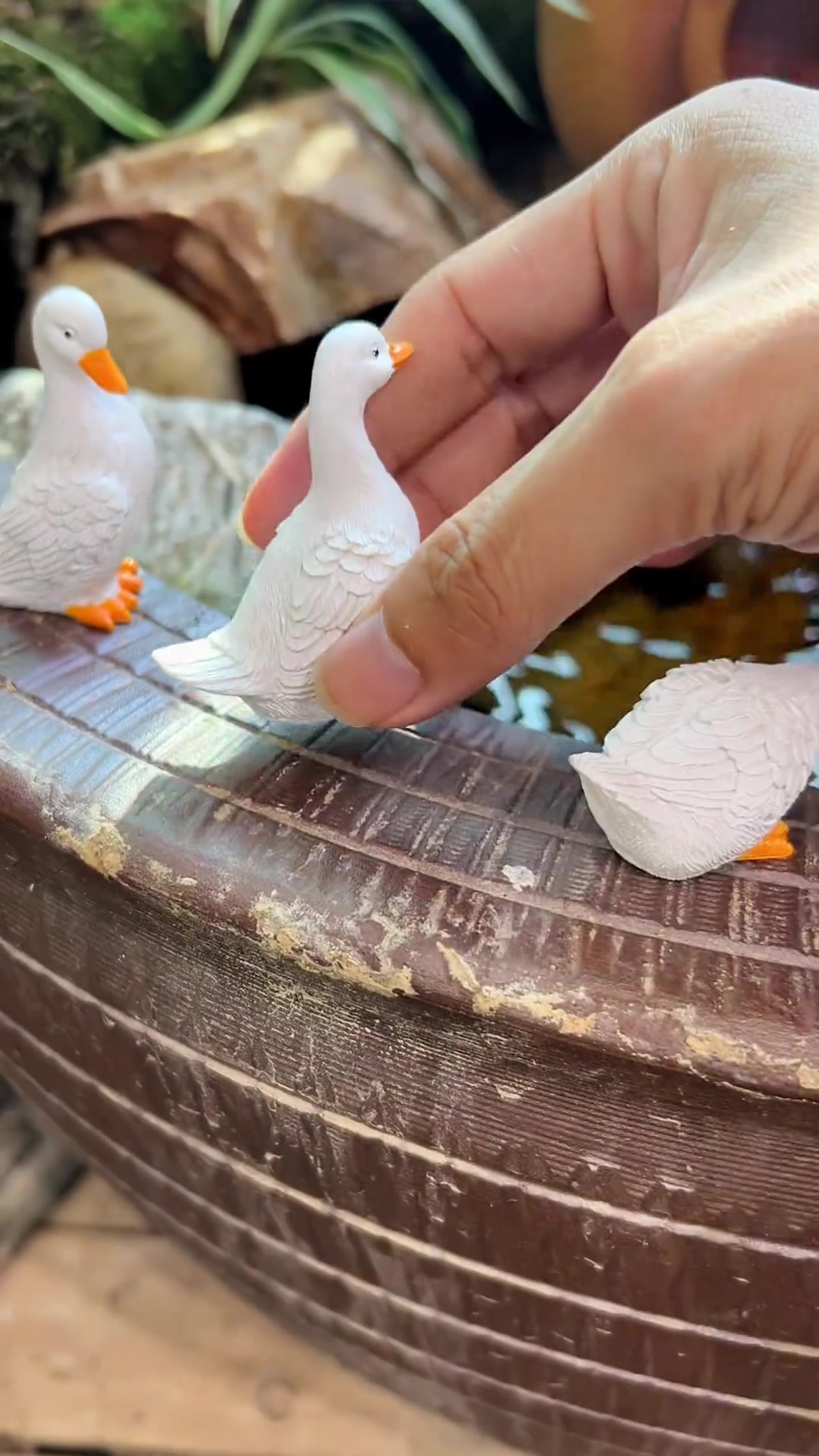 @Tiểu Cảnh Tại Gia