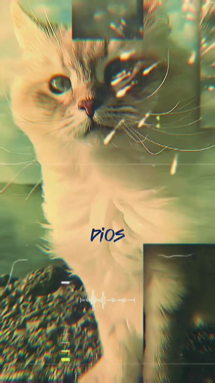 @tiko
