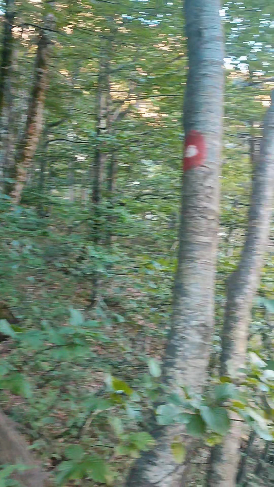 @Only Fools and Hikers
