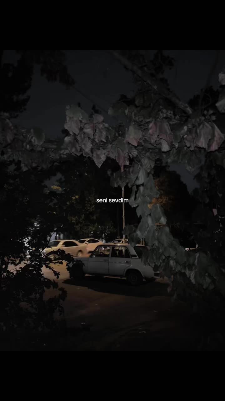 @𝑬𝒍𝒊𝒊⚡️