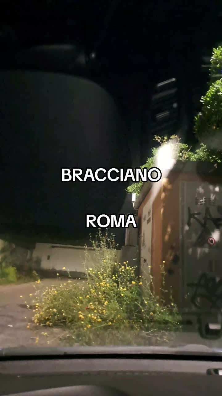 @Mario Vassecchi