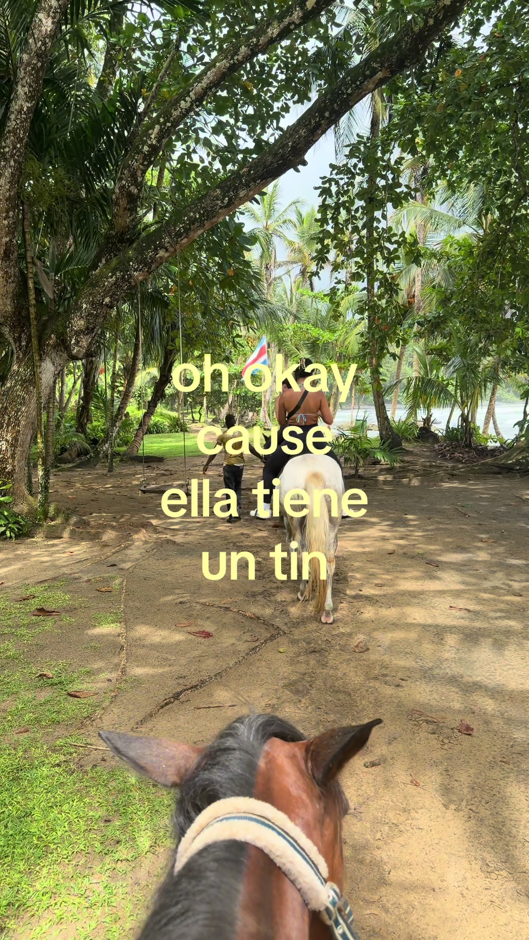 @Adri 🦢