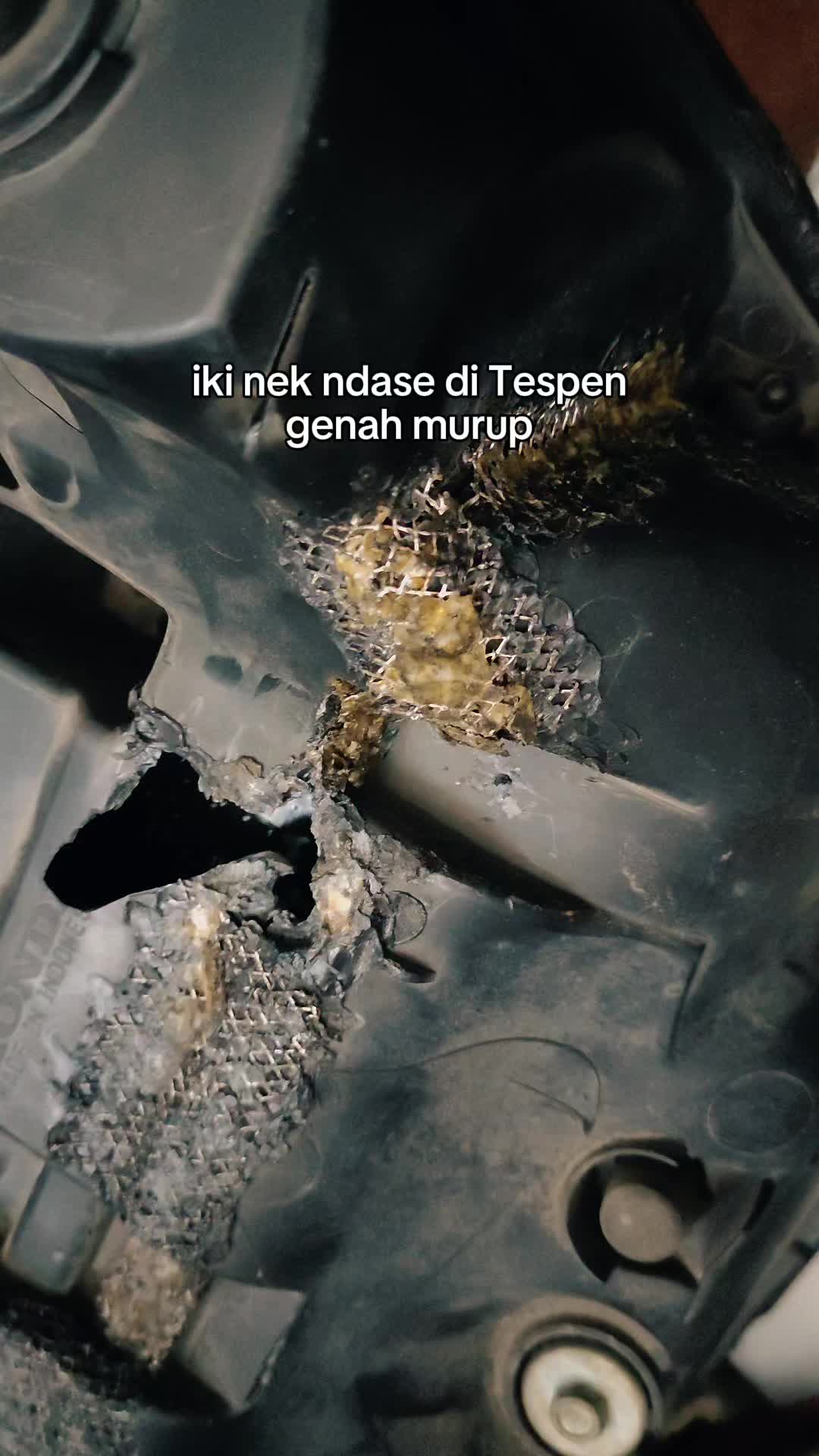 @Indraendru