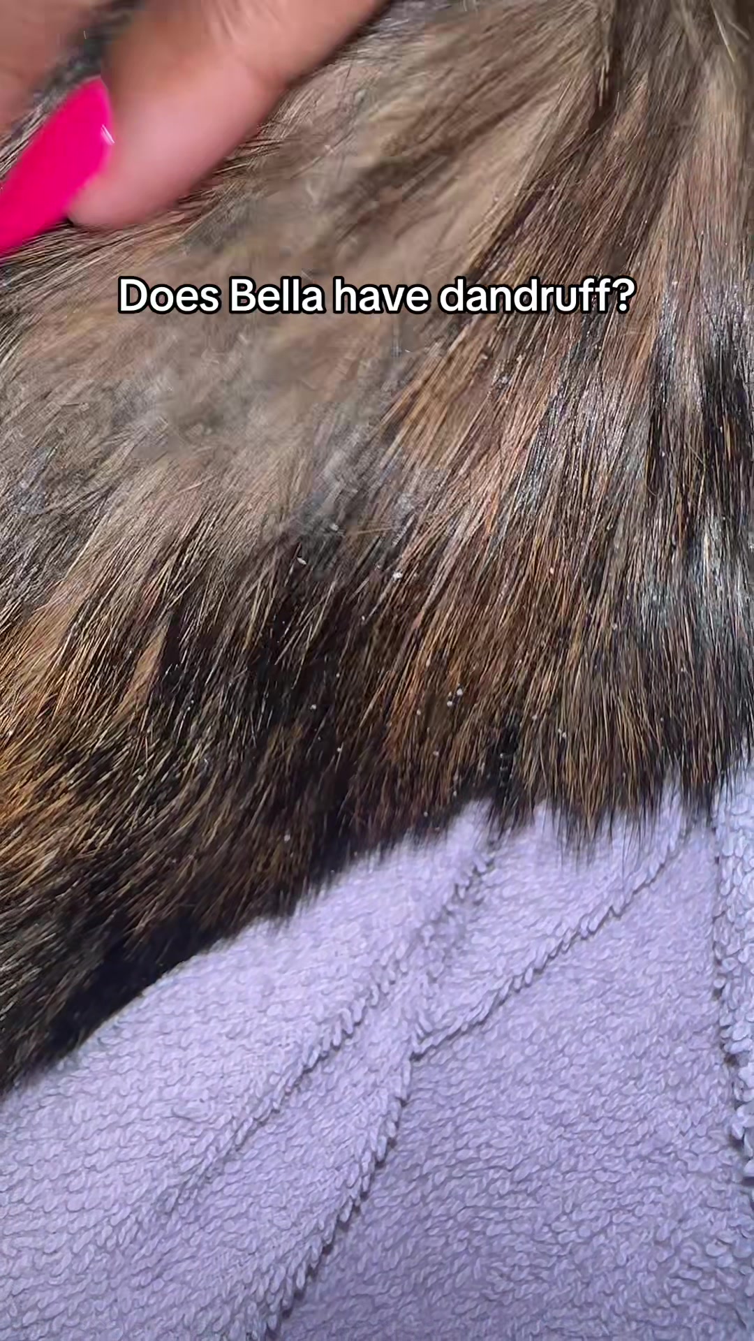 @💫