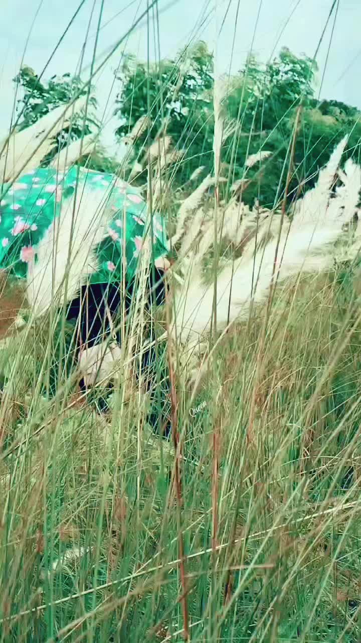 @𝑨𝒚𝒆𝒔𝒉𝒂 𝑺𝒊𝒅𝒅𝒊𝒒𝒖𝒆