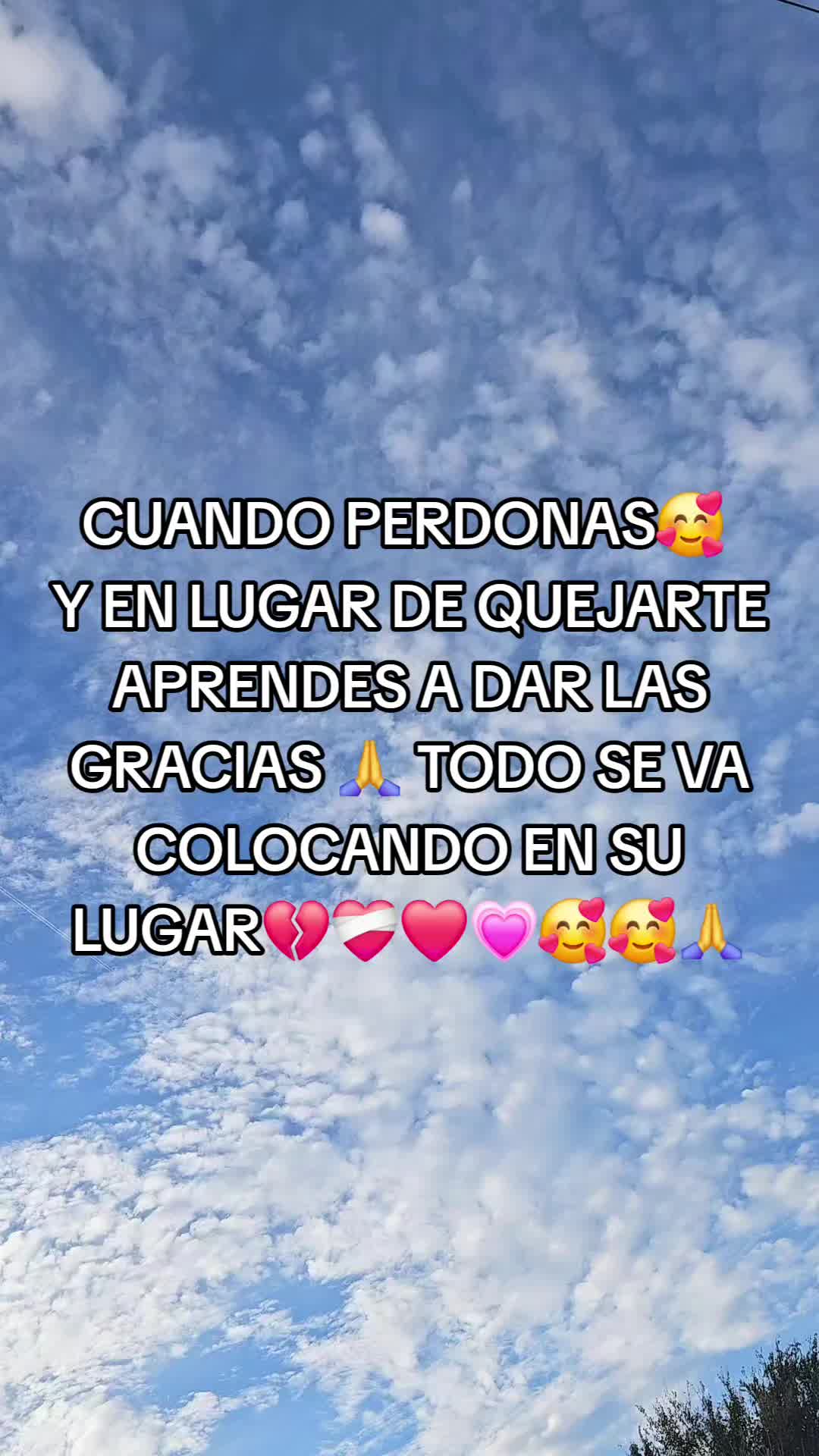 @🦬PINK&yen;☕️D🦋CENTINELA🧋🪷🐈&zwj;⬛