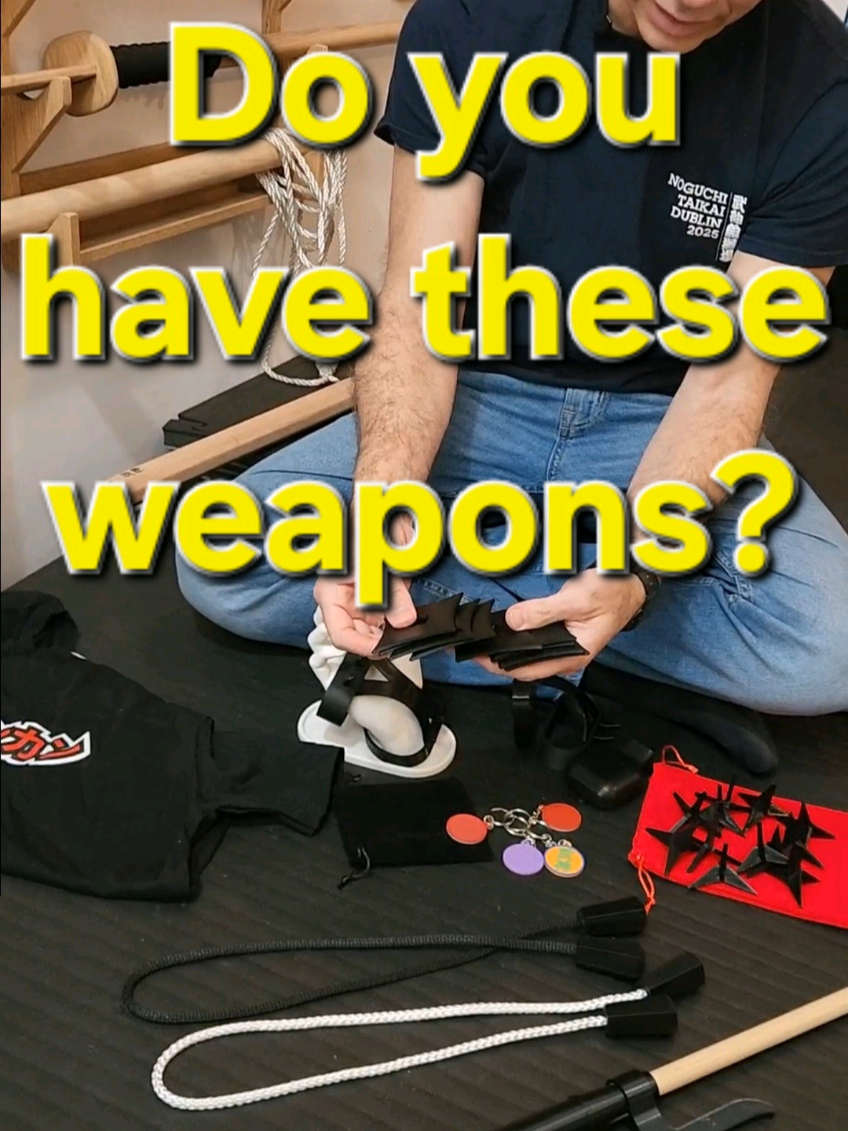 @Bujinkan Meiryu Dojo NYC
