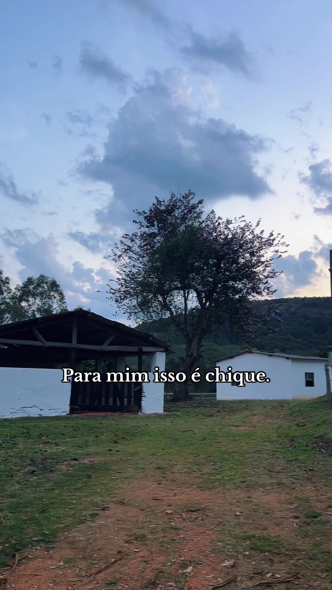 @fernando souza