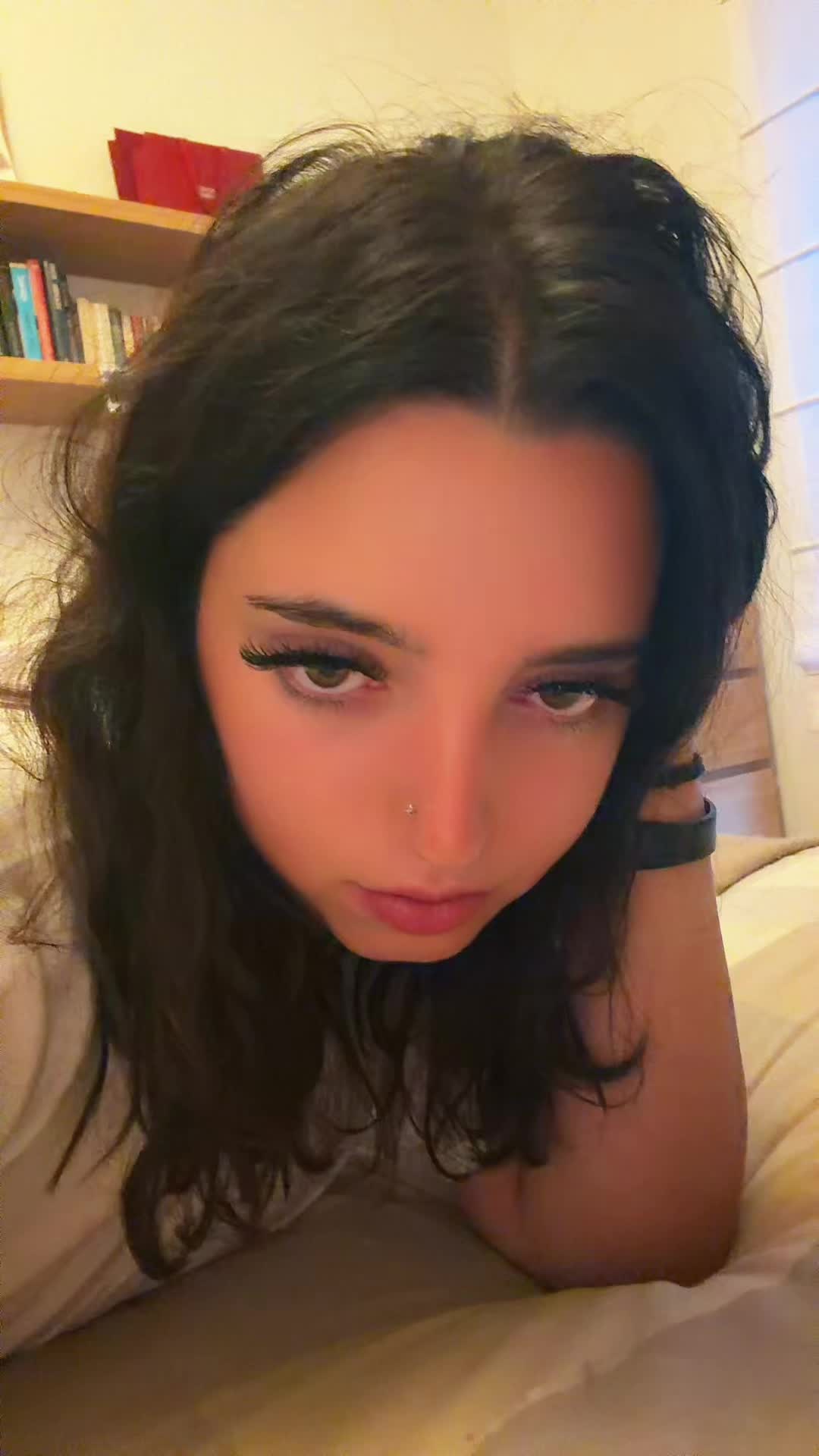 @alegalopp