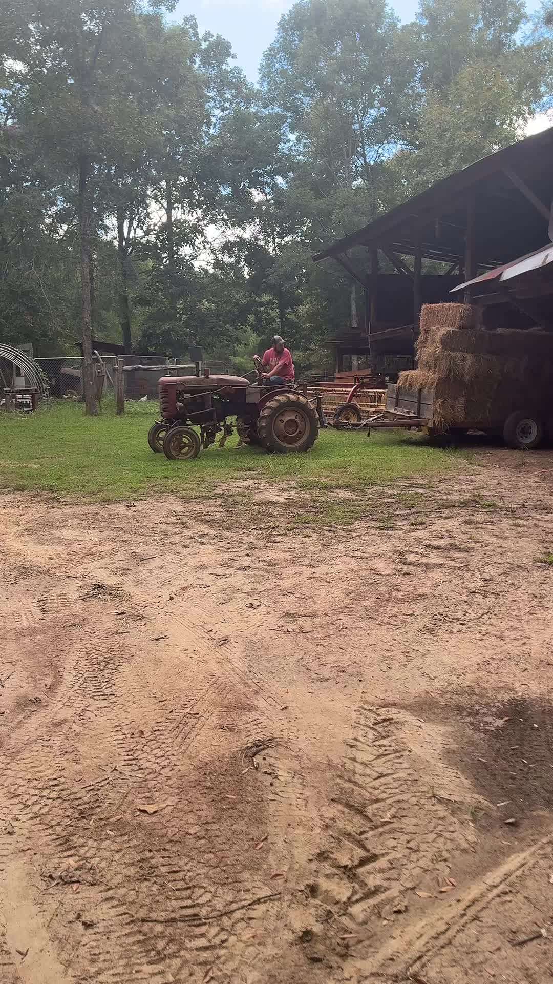 @Gray Acres Homestead