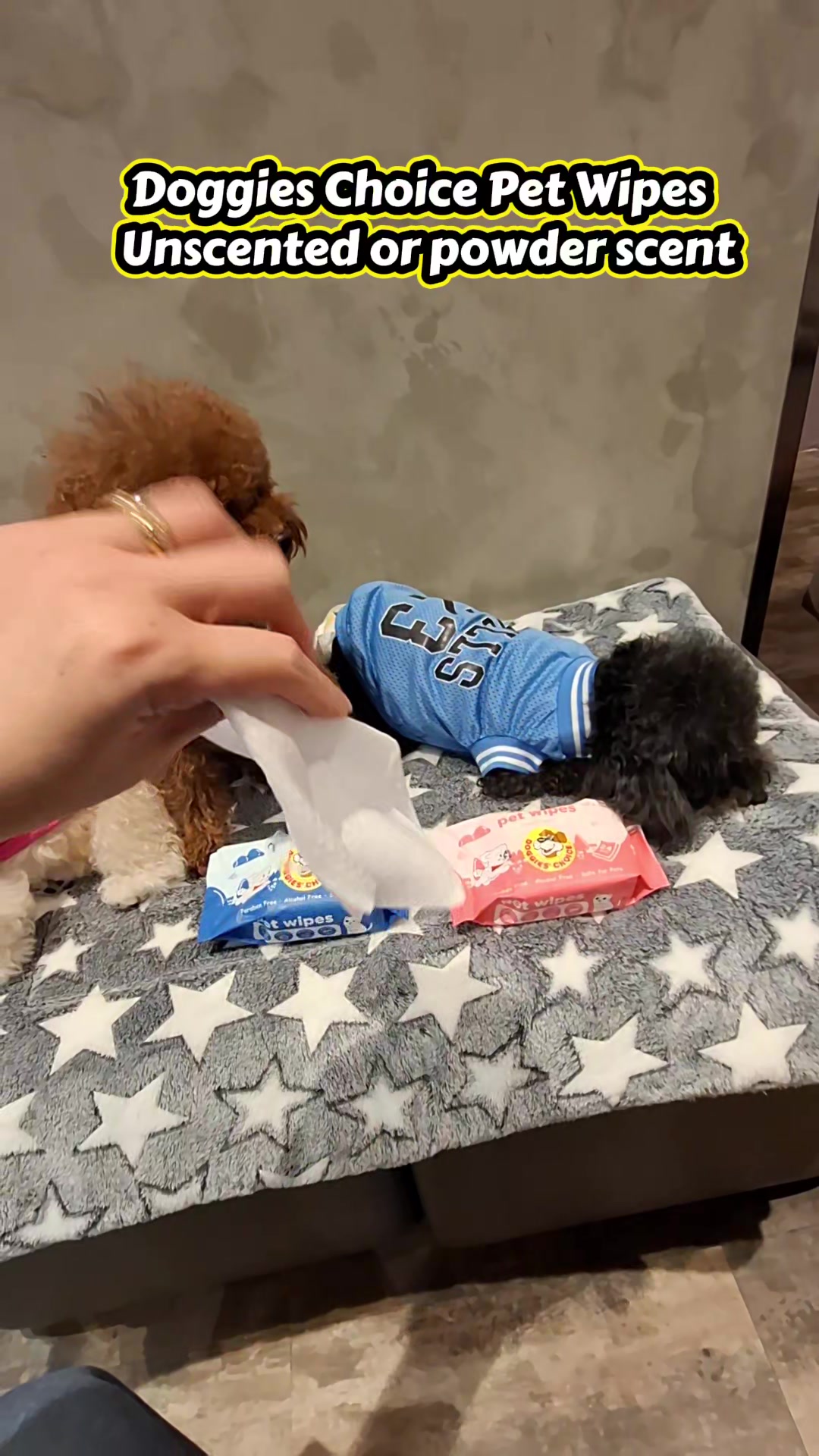 @Maisy Mouse 🐩🐾❤️🇵🇭