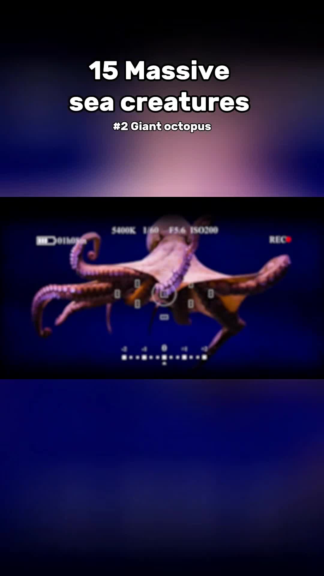 @DeepFearX