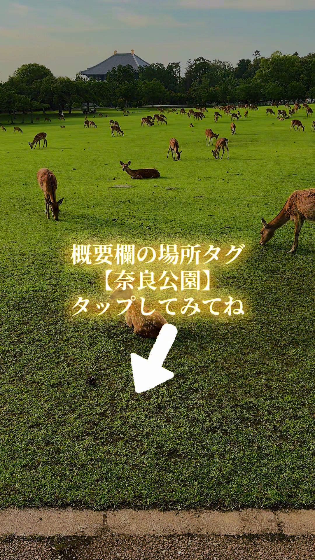 @寝不足夜更かしバリトン
