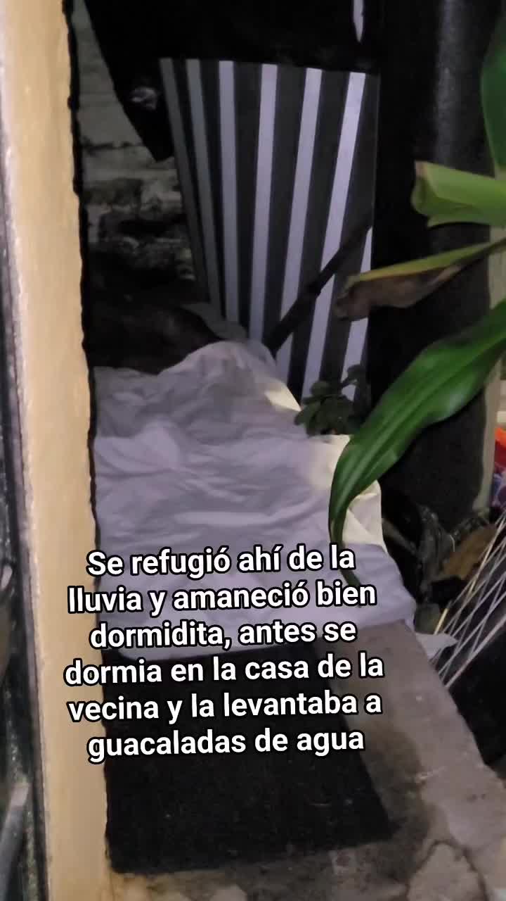 @𝕃𝕚𝕤𝕤 ℝ𝕖yes🇸🇻